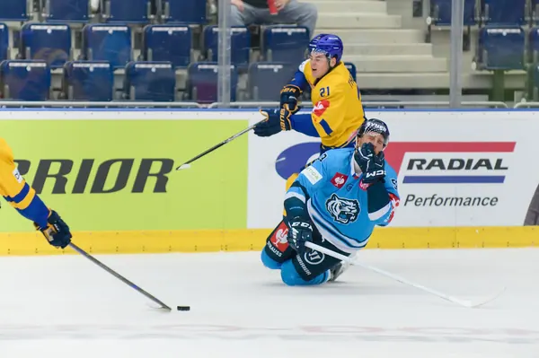 Bílí Tygři Liberec – Herning Blue Fox, 10. 9. 2026