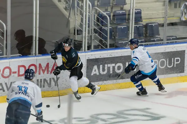 U20: HC Bílí Tygři Liberec – HC Verva Litvínov, 4. 9. 2026