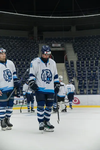 U20: HC Bílí Tygři Liberec – HC Verva Litvínov, 4. 9. 2026
