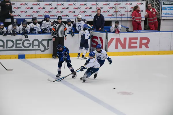 Kladno – Vítkovice, 22. 8. 2026