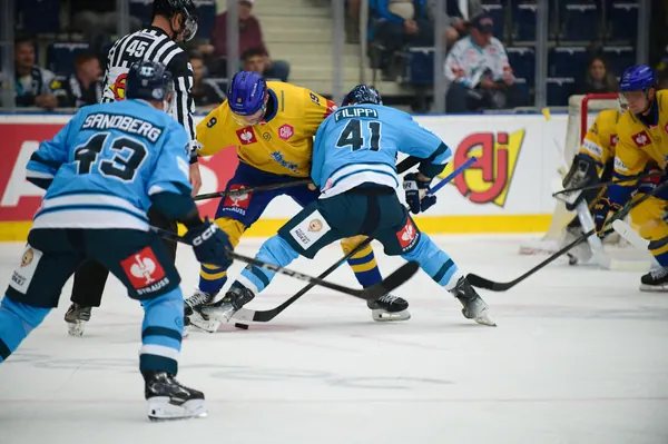 Bílí Tygři Liberec – Herning Blue Fox, 10. 9. 2026