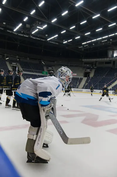 U20: HC Bílí Tygři Liberec – HC Verva Litvínov, 4. 9. 2026