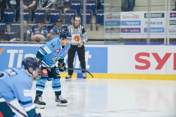 Bílí Tygři Liberec – Herning Blue Fox, 10. 9. 2026