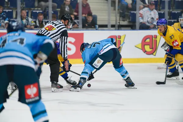 Bílí Tygři Liberec – Herning Blue Fox, 10. 9. 2026