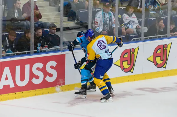 Bílí Tygři Liberec – Herning Blue Fox, 10. 9. 2026