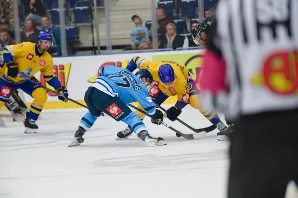 Bílí Tygři Liberec – Herning Blue Fox, 10. 9. 2026