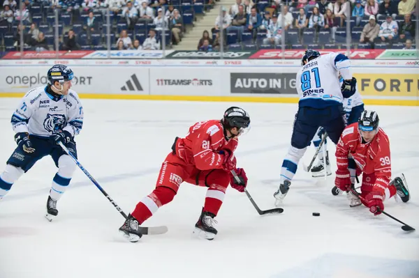 Bílí Tygři Liberec – HC Olomouc, 2. 10. 2026