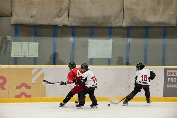 Sparta Praha – SLA, 21. 8. 2026
