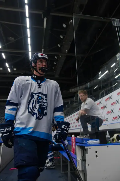U20: HC Bílí Tygři Liberec – HC Verva Litvínov, 4. 9. 2026