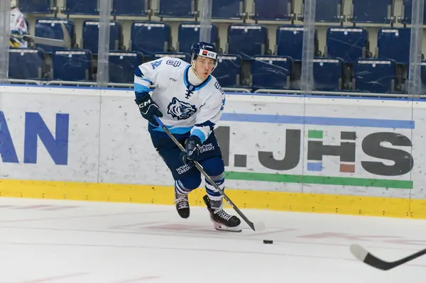 U20: HC Bílí Tygři Liberec – HC Verva Litvínov, 4. 9. 2026