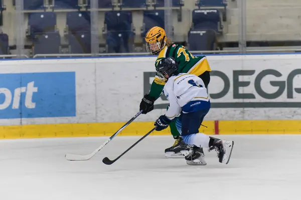 VSE – Kladno O 3. Místo, 23. 8. 2026