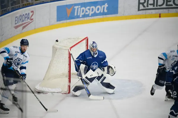HC Bílí Tygři Liberec – HC Rytíři Kladno, 13. 8. 2026