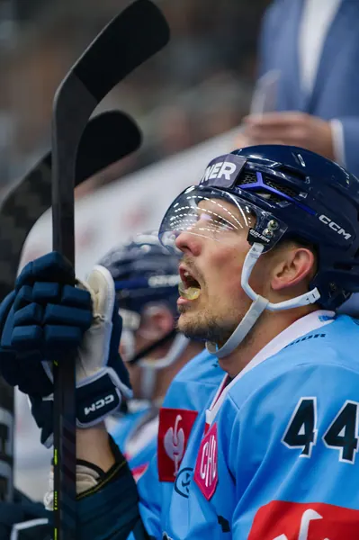 Bílí Tygři Liberec – Herning Blue Fox, 10. 9. 2026