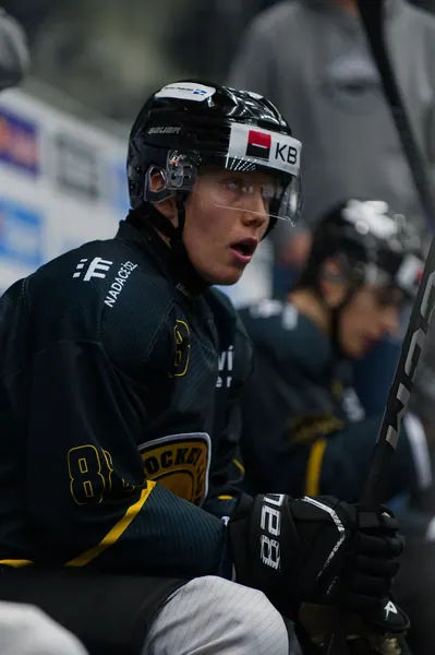 U20: HC Bílí Tygři Liberec – HC Verva Litvínov, 4. 9. 2026