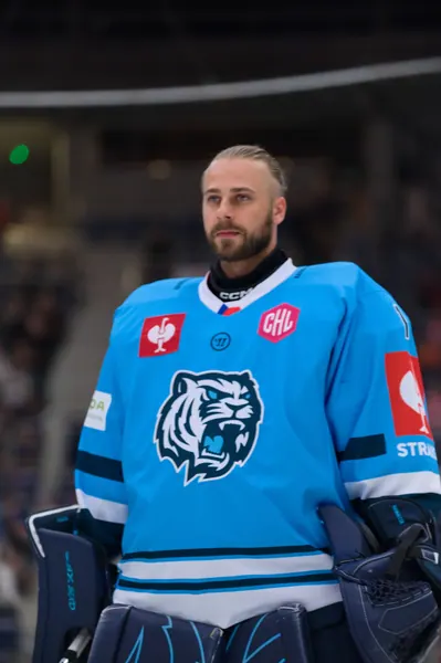 Bílí Tygři Liberec – Herning Blue Fox, 10. 9. 2026