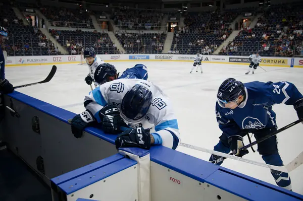 HC Bílí Tygři Liberec – HC Rytíři Kladno, 13. 8. 2026
