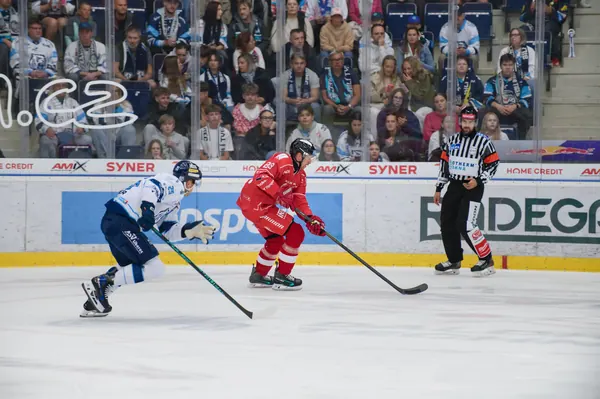 Bílí Tygři Liberec – HC Olomouc, 2. 10. 2026