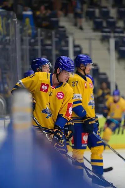 Bílí Tygři Liberec – Herning Blue Fox, 10. 9. 2026