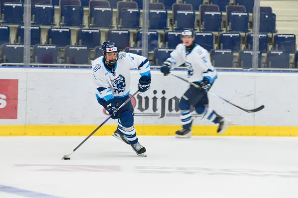 U20: HC Bílí Tygři Liberec – HC Verva Litvínov, 4. 9. 2026