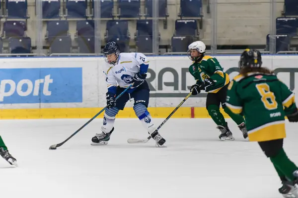 VSE – Kladno O 3. Místo, 23. 8. 2026