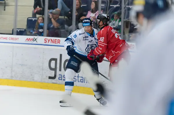 Bílí Tygři Liberec – HC Olomouc, 2. 10. 2026
