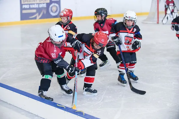 BTL U7 Pohár, 4. 10. 2026