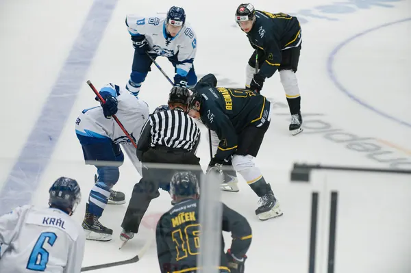 U20: HC Bílí Tygři Liberec – HC Verva Litvínov, 4. 9. 2026