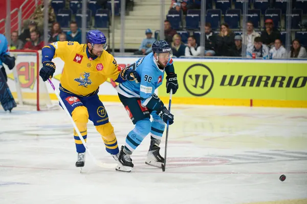 Bílí Tygři Liberec – Herning Blue Fox, 10. 9. 2026