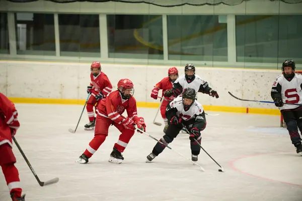 Sparta Praha – SLA, 21. 8. 2026