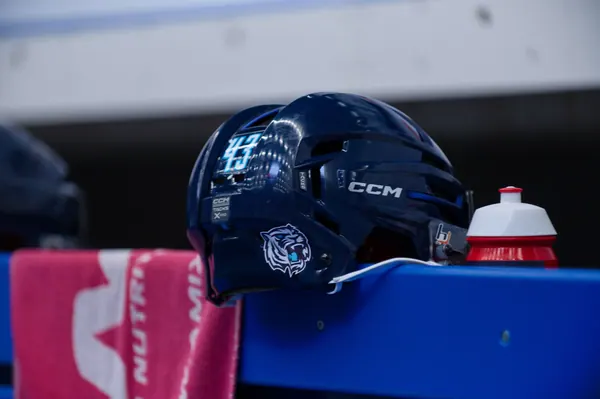 Bílí Tygři Liberec – Herning Blue Fox, 10. 9. 2026