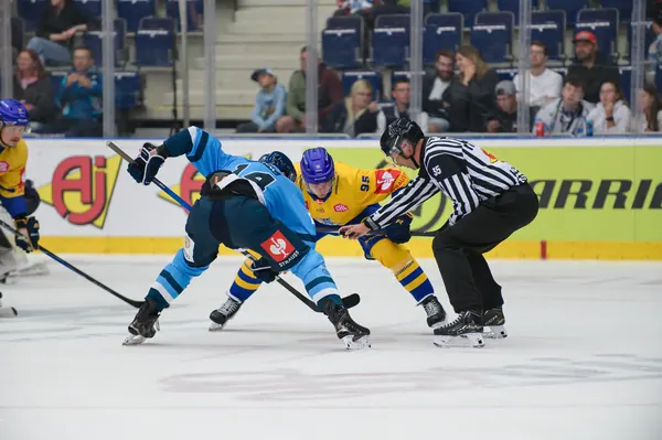 Bílí Tygři Liberec – Herning Blue Fox, 10. 9. 2026