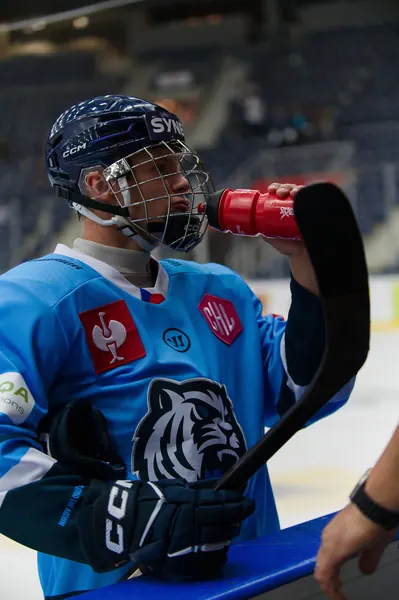 Bílí Tygři Liberec – Herning Blue Fox, 10. 9. 2026