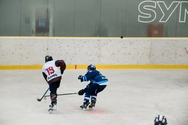 Sparta Praha – BTL, 22. 8. 2026