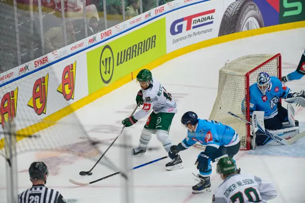 Bílí Tygři Liberec – Frölunda HC, 6. 10. 2026