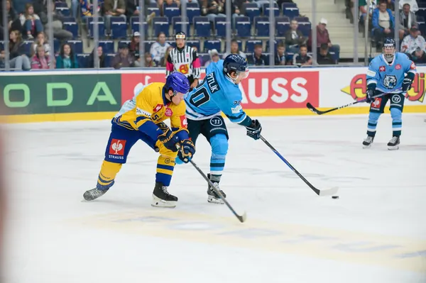 Bílí Tygři Liberec – Herning Blue Fox, 10. 9. 2026